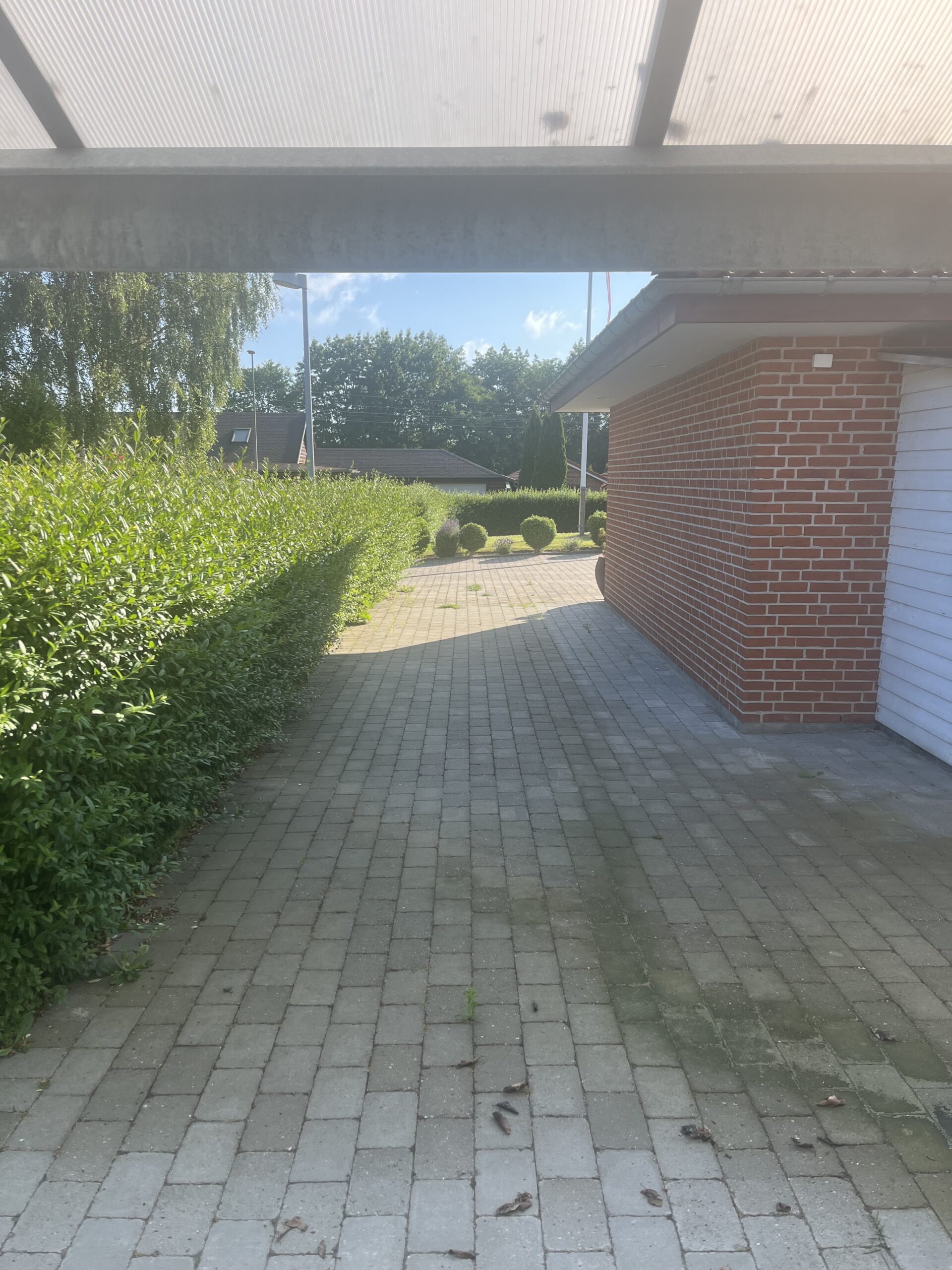 image00007