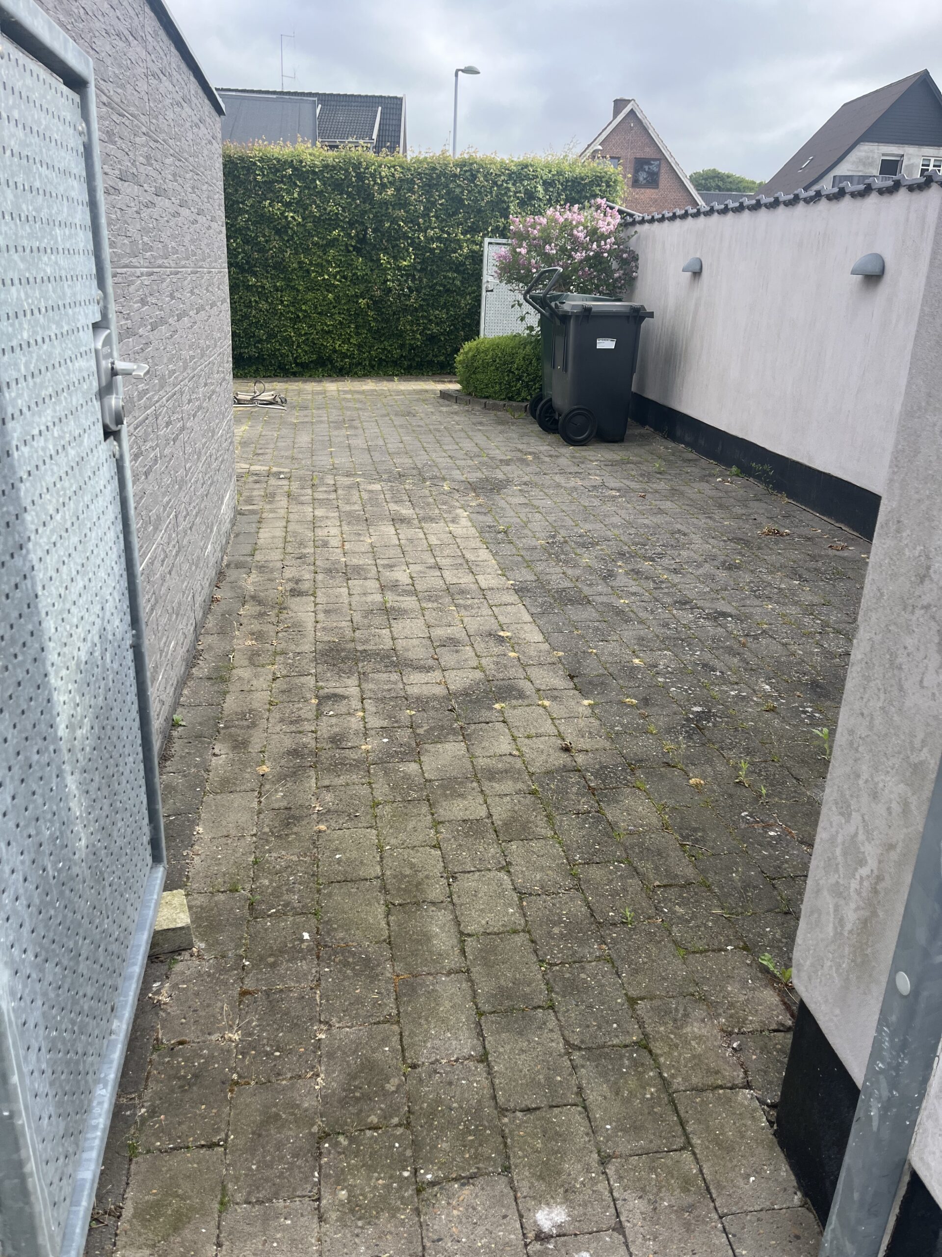 image00013