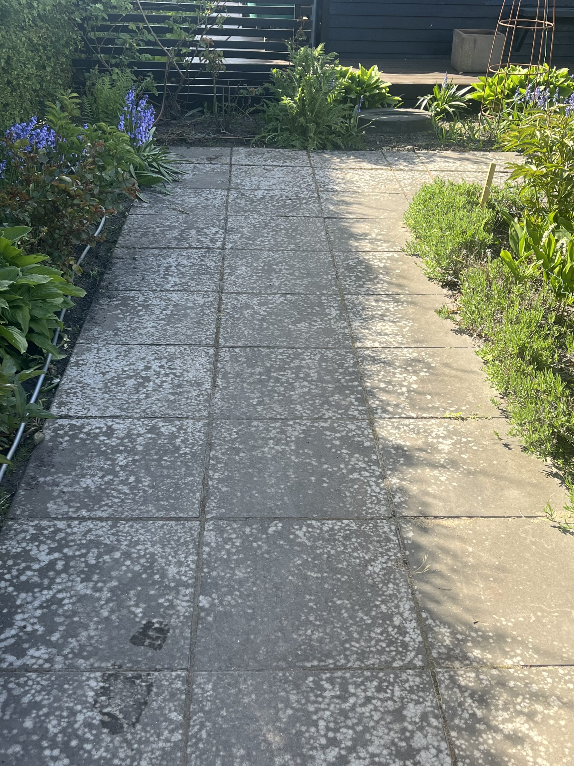 image00017