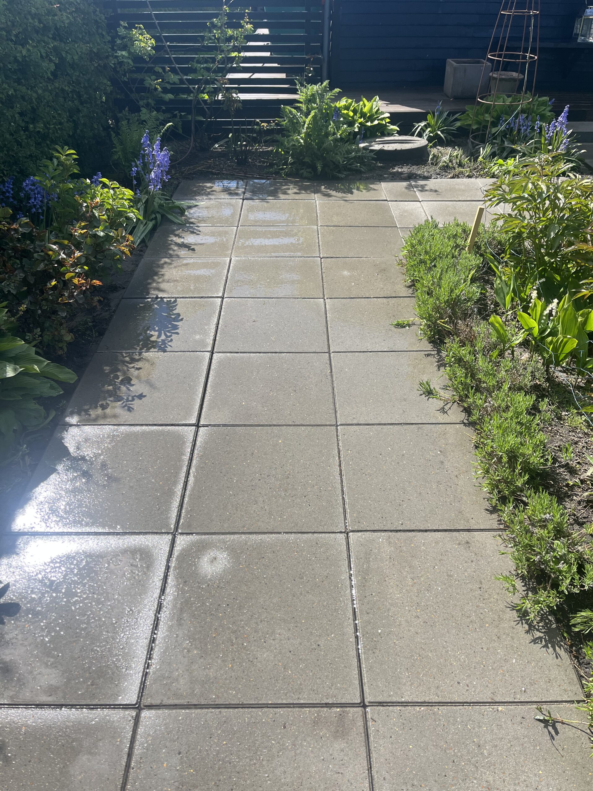 image00018